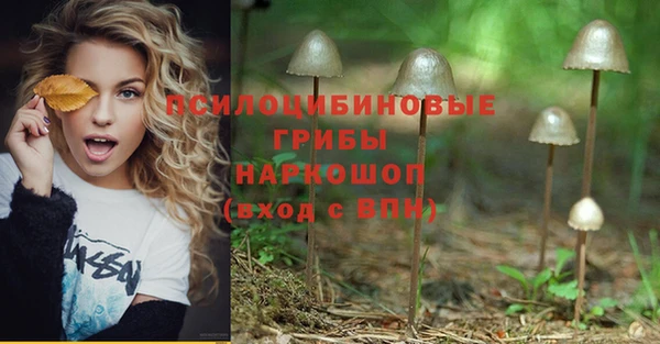 соль ск Алзамай
