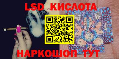 мдпв Гусев