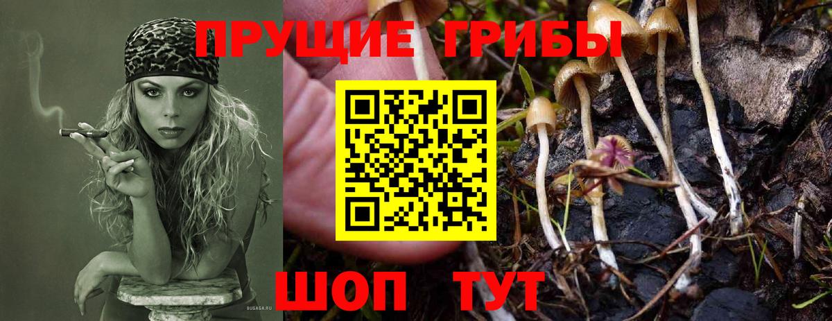 Псилоцибиновые грибы Magic Shrooms Южно-Сахалинск